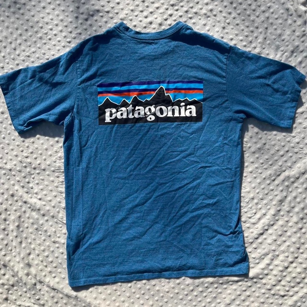 Patagonia Muted Aquamarine Graphic Tee ⛰🧡🦋